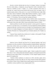 Kukurūzų sėklų auginimo technologija 13 puslapis