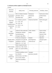 Kukurūzų sėklų auginimo technologija 17 puslapis