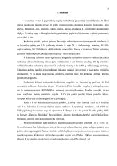 Kukurūzų sėklų auginimo technologija 3 puslapis