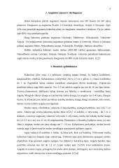 Kukurūzų sėklų auginimo technologija 4 puslapis