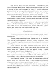 Kukurūzų sėklų auginimo technologija 5 puslapis