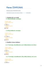 Mobiliojo ryšio planų imitacinis palyginimas 17 puslapis