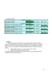 Mobiliojo ryšio planų imitacinis palyginimas 19 puslapis