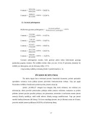 Kompiuterizuoto įmonės veiklos modeliavimo praktikos ataskaita: šildymo katilų gamyba UAB "Ugnelė" 17 puslapis