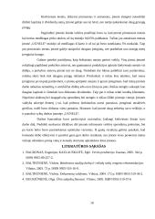 Kompiuterizuoto įmonės veiklos modeliavimo praktikos ataskaita: šildymo katilų gamyba UAB "Ugnelė" 18 puslapis