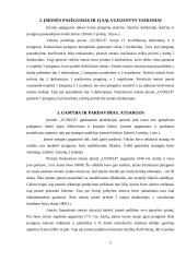 Kompiuterizuoto įmonės veiklos modeliavimo praktikos ataskaita: šildymo katilų gamyba UAB "Ugnelė" 5 puslapis