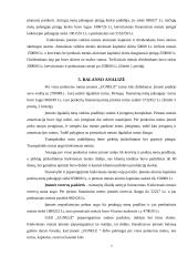 Kompiuterizuoto įmonės veiklos modeliavimo praktikos ataskaita: šildymo katilų gamyba UAB "Ugnelė" 7 puslapis