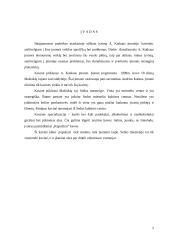 Praktikos ataskaita: kavinės analizė 2 puslapis