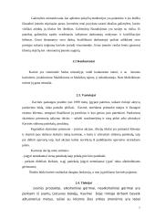 Praktikos ataskaita: kavinės analizė 7 puslapis