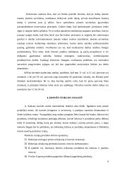 Praktikos ataskaita: kavinės analizė 9 puslapis