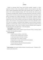 Praktika restorane "Čili kaimas" 2 puslapis