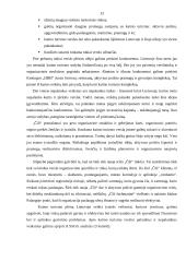 Praktika restorane "Čili kaimas" 13 puslapis