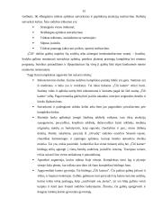 Praktika restorane "Čili kaimas" 15 puslapis