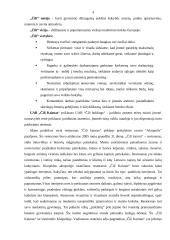 Praktika restorane "Čili kaimas" 4 puslapis