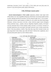 Praktika restorane "Čili kaimas" 5 puslapis