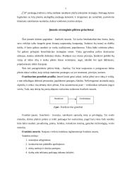 Praktika restorane "Čili kaimas" 7 puslapis