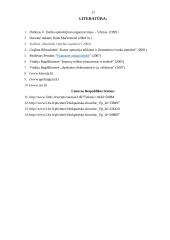 Praktikos ataskaita: sporto klubas "Apelsinas" 17 puslapis