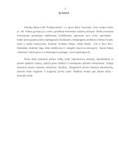 Praktikos ataskaita: sporto klubas "Apelsinas" 3 puslapis