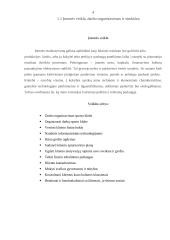 Praktikos ataskaita: sporto klubas "Apelsinas" 4 puslapis