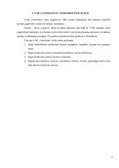 Profesinės veiklos praktikos ataskaita: kavinė-baras UAB "Vaterlinija" 4 puslapis