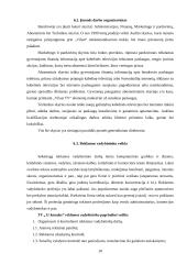 Reklamos agentūros veiklos specifika: UAB "Spaudos elementai" 10 puslapis