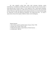 Pradinukų fizinis ugdymas 4 puslapis