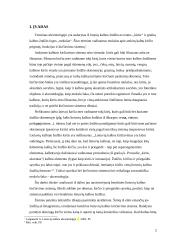 Akcentologijos terminas 2 puslapis