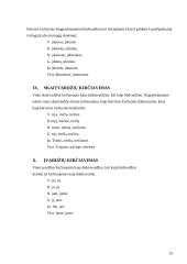 Akcentologijos terminas 12 puslapis