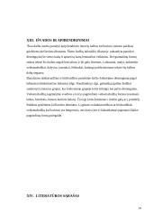 Akcentologijos terminas 14 puslapis