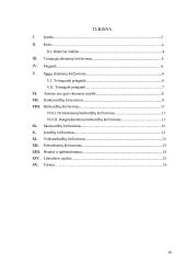 Akcentologijos terminas 16 puslapis