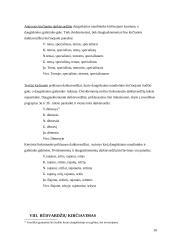 Akcentologijos terminas 10 puslapis