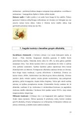 Alkaloidus kaupiantys augalai 11 puslapis