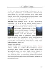 Alkaloidus kaupiantys augalai 13 puslapis