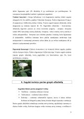 Alkaloidus kaupiantys augalai 10 puslapis