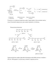 Angliavandeniai (karbohidratai ir sacharidai) 11 puslapis