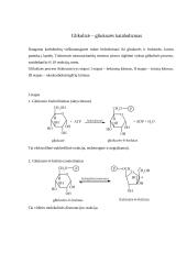 Angliavandeniai (karbohidratai ir sacharidai) 13 puslapis