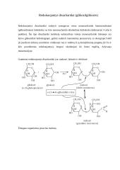 Angliavandeniai (karbohidratai ir sacharidai) 17 puslapis