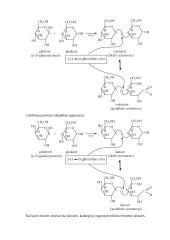 Angliavandeniai (karbohidratai ir sacharidai) 18 puslapis