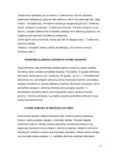 Ką aš sužinojau apie atomo sandarą, mokydamasis įvairių dalykų 11 puslapis