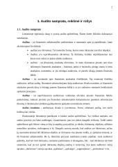 Atsargų audito samprata 2 puslapis