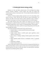 Atsargų audito samprata 12 puslapis