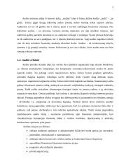 Atsargų audito samprata 3 puslapis