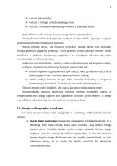 Atsargų audito samprata 6 puslapis