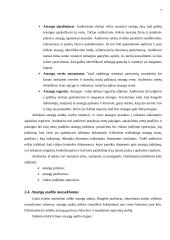 Atsargų audito samprata 7 puslapis