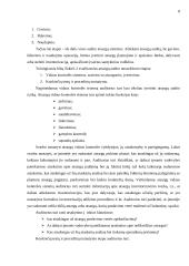 Atsargų audito samprata 8 puslapis