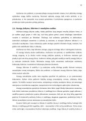 Atsargų audito samprata 10 puslapis