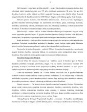 Azijos draudimo rinka 4 puslapis