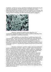 Bakterijos ir virusai 2 puslapis