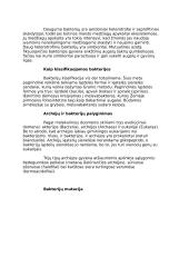 Bakterijos ir virusai 3 puslapis