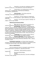 Bakterijos ir virusai 5 puslapis